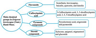 Erigeron breviscapus (Vant.) Hand-Mazz.: A Promising Natural Neuroprotective Agent for Alzheimer’s Disease